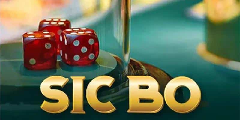 Thái Sicbo V9bet trò chơi cá cược tài xỉu mới nhất